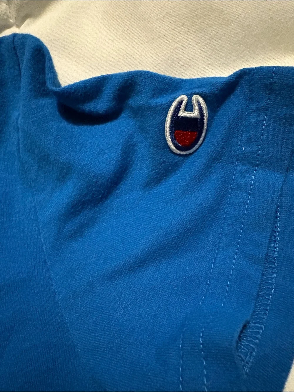 Champion Blue Tee with Multi-Color Logo Script shorts